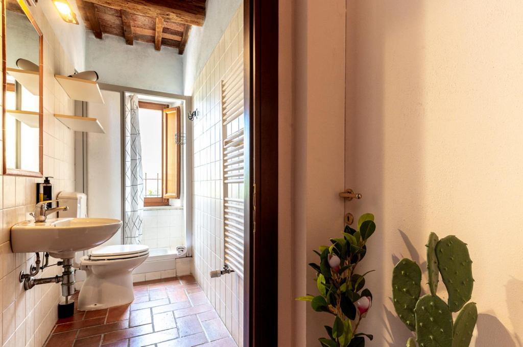 Massa Alta B&B E Appartamenti Massa Marittima Zewnętrze zdjęcie